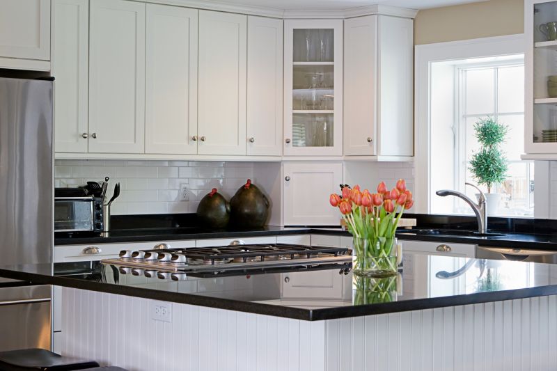 Contemporary Kitchen Features